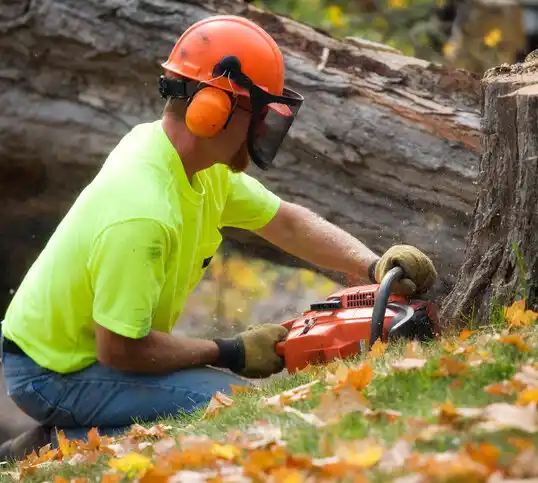 tree services Pahrump